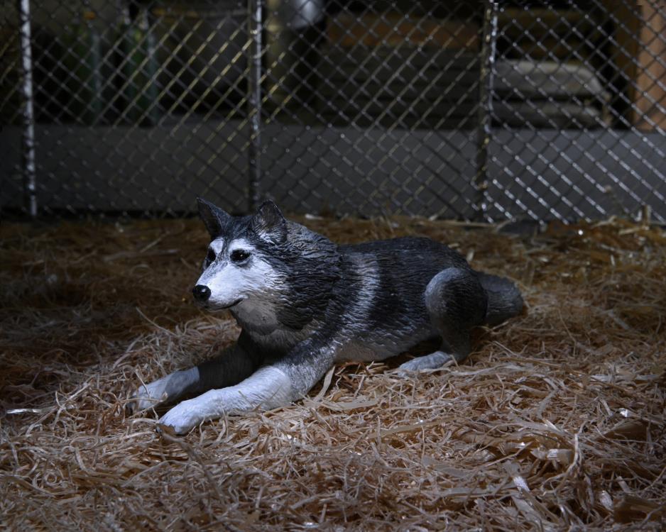 היצור אקשן פיגר כלב נגוע (Ultimate Dog Creature Set)