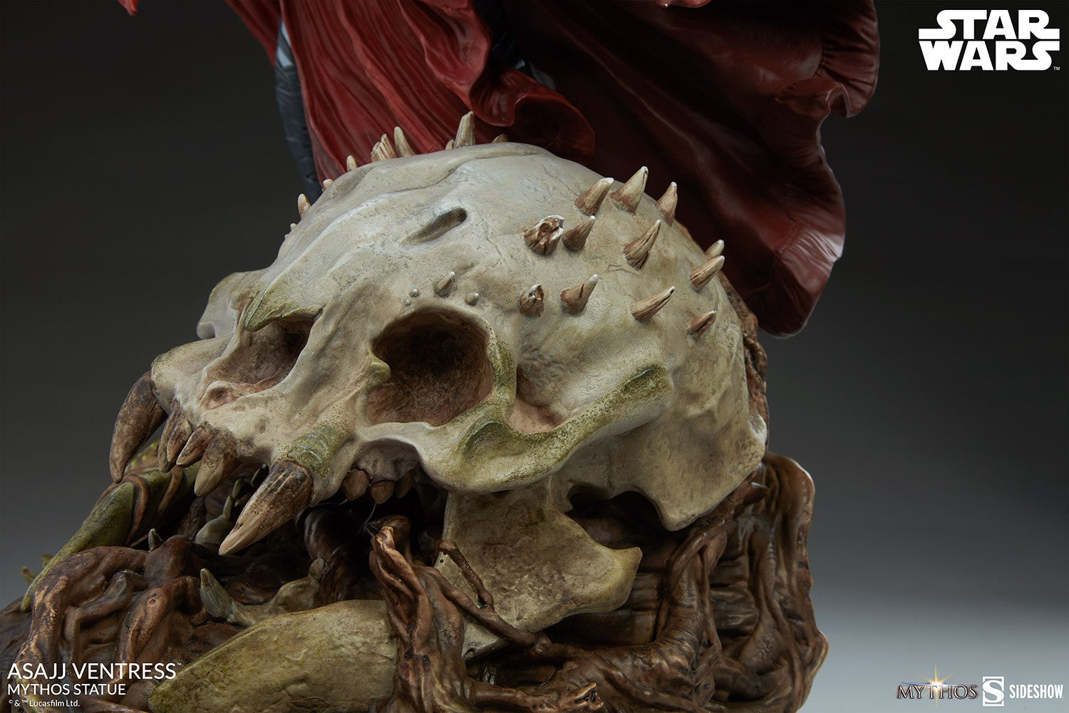 אסאז' וונטרס פסל מיתוס מבית Sideshow Collectibles (Asajj Ventress Mythos)