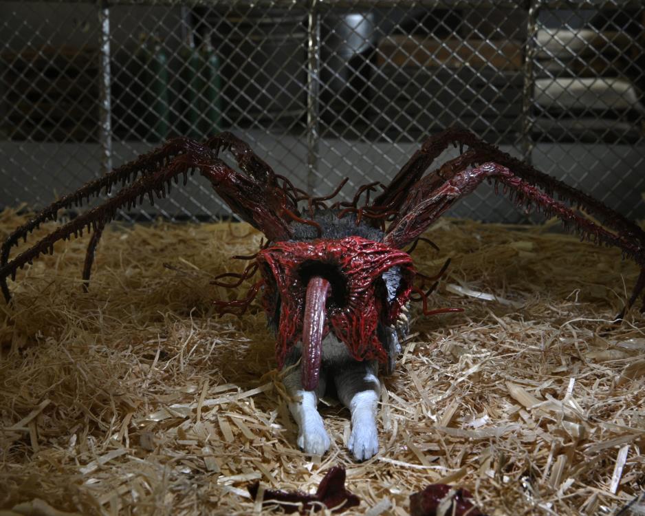 היצור אקשן פיגר כלב נגוע (Ultimate Dog Creature Set)